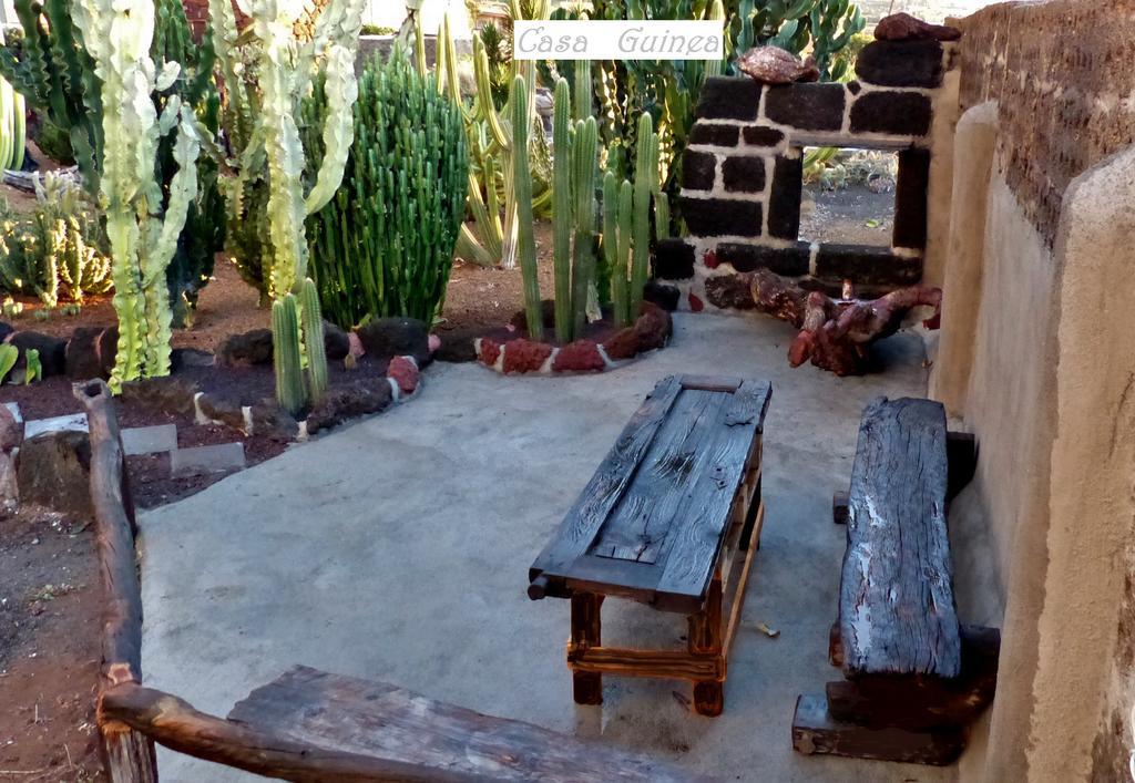 منزل الضيف فرونتيرا  في Casa Guinea المظهر الخارجي الصورة